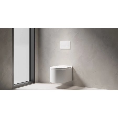 Кнопка смыва 274х39х187 см SALINI PURO 30P2MST2S2M0000 RAL Кнопка смыва 274х39х187 см SALINI PURO 30P2MST2S2M0000 RAL