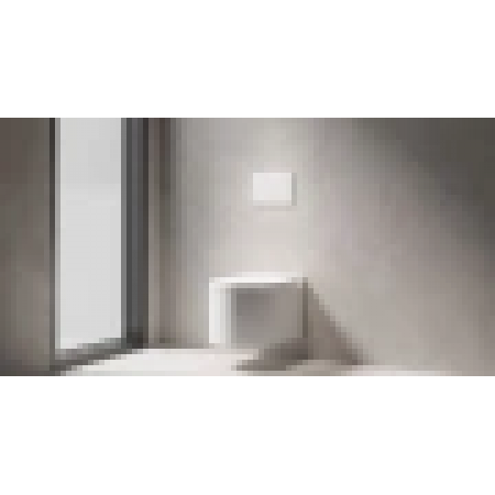 Кнопка смыва 274х39х187 см SALINI PURO 30P2MST2S2M0000 RAL Кнопка смыва 274х39х187 см SALINI PURO 30P2MST2S2M0000 RAL