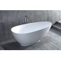 Ванна каменная отдельностоящая матовая 172х83 SALINI PAOLA 101512SM Ванна каменная отдельностоящая матовая 172х83 SALINI PAOLA 101512SM